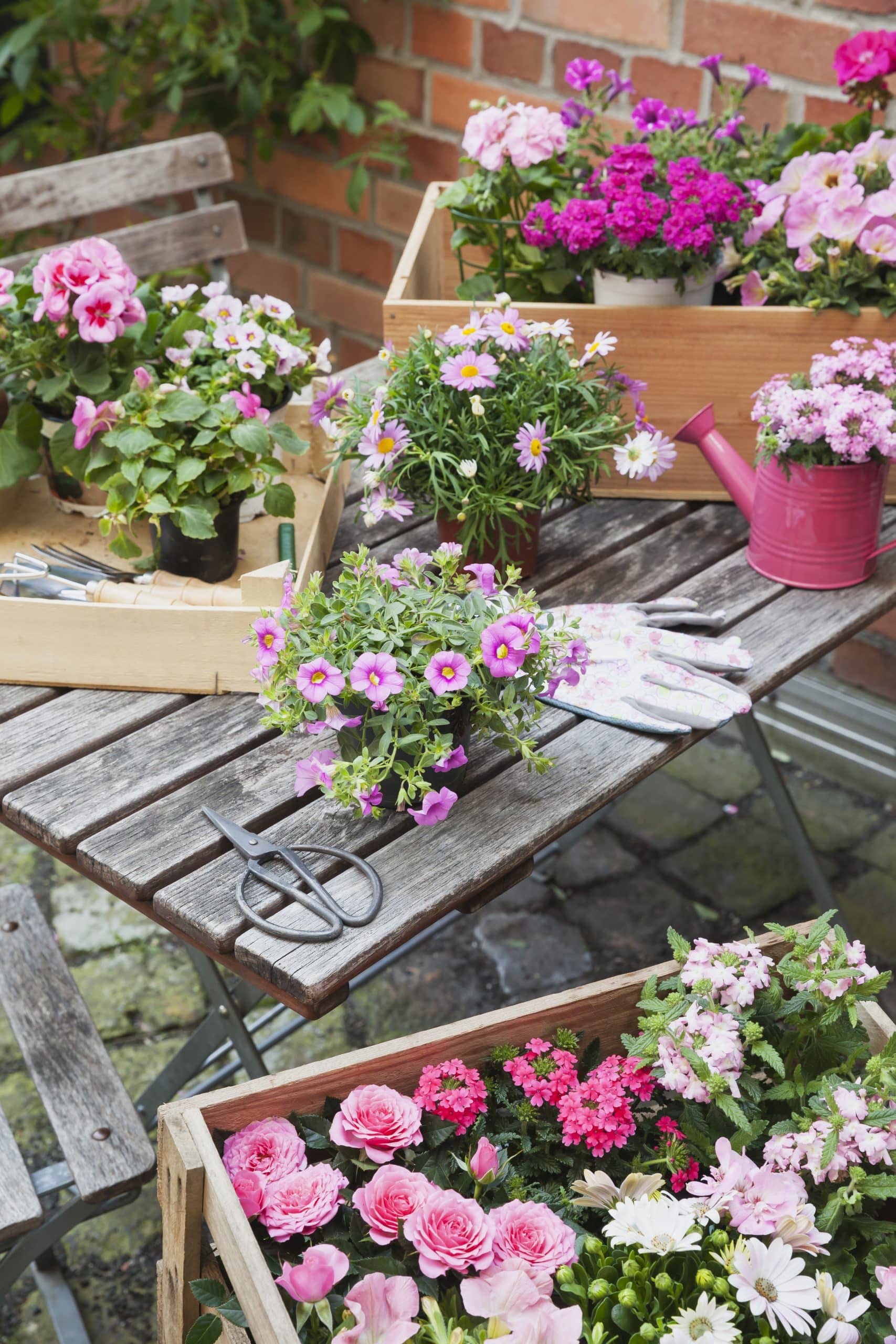 Comment choisir les plantes pour son jardin et bien les entretenir ?