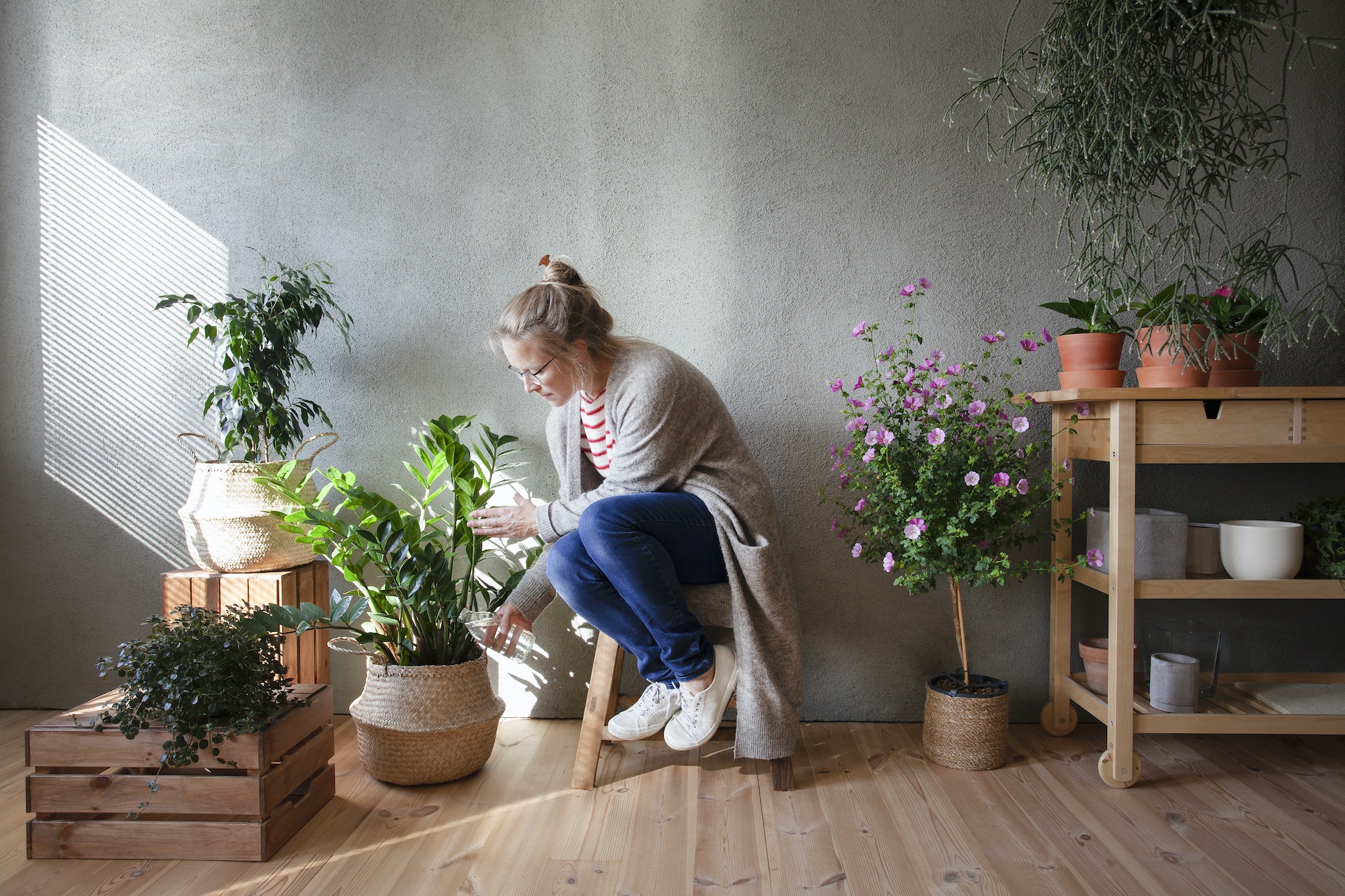 Quelles sont les plantes d’intérieur faciles à entretenir pour les débutants ?