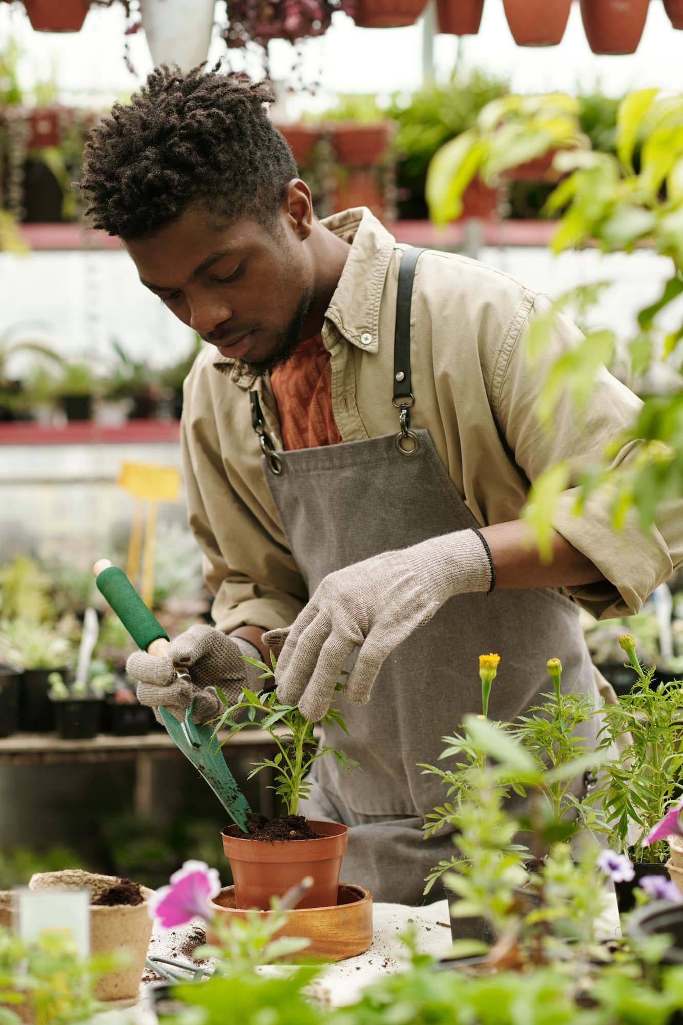 Le top 3 des meilleures plantes pour apporter une belle atmosphère dans votre cuisine !