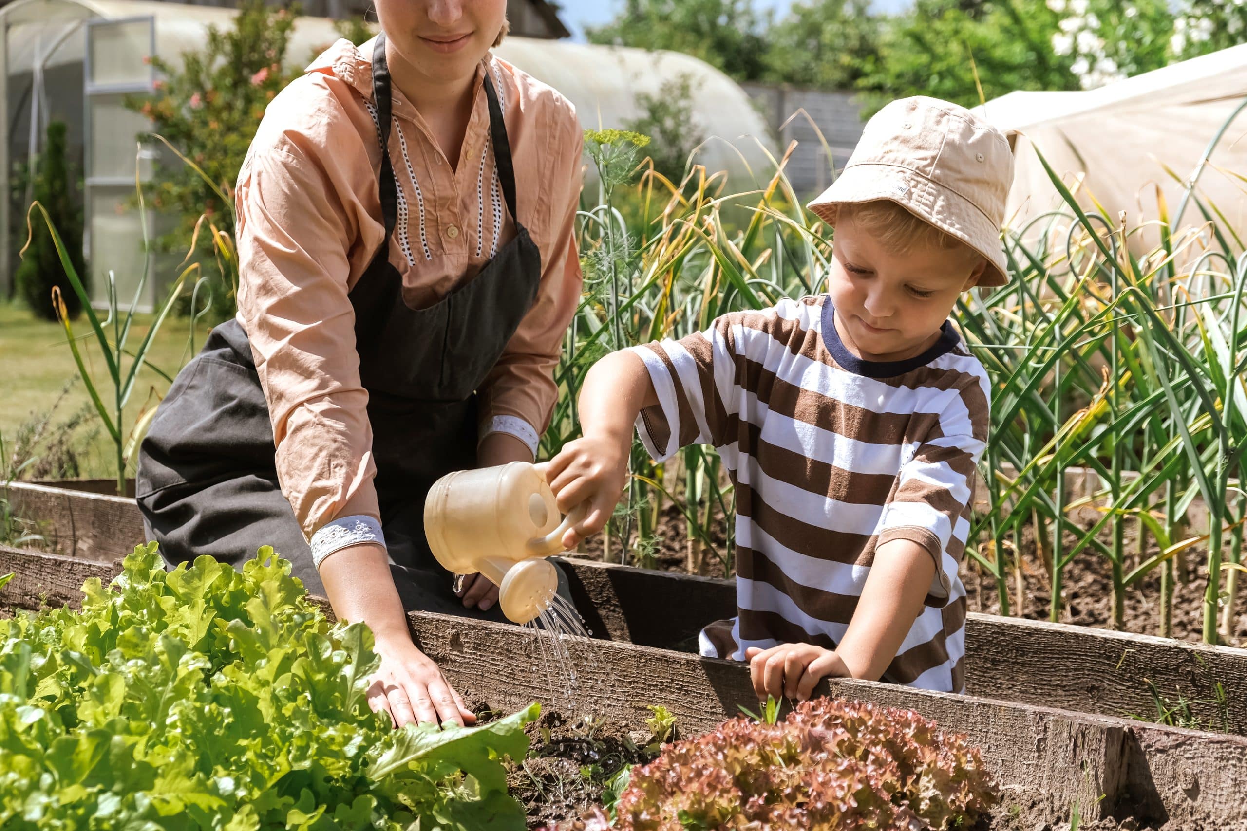 Le jardinage pour les débutants : quelques conseils de professionnels